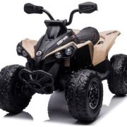 CAN-AM 24V Renegade Khaki