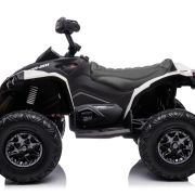 CAN-AM 24V Renegade Wit