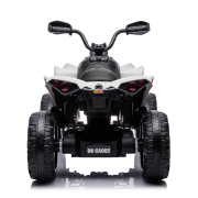 CAN-AM 24V Renegade Wit