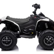 CAN-AM 24V Renegade Wit