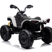 CAN-AM 24V Renegade Wit