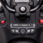 CAN-AM 24V Renegade Wit