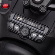 CAN-AM 24V Renegade Wit