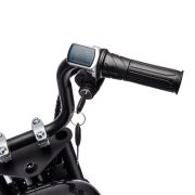 Chopper Ride-on Motor 36V Zwart