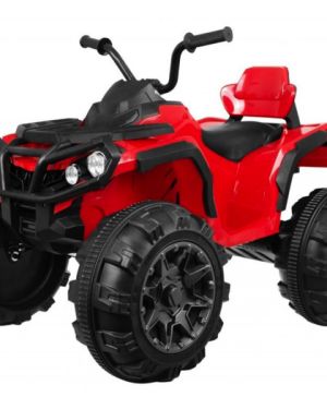 12 volt Elektrische quad