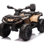 CAN-AM Outlander 2-zitter, 4x4, 24 volt Quad, rubberen banden, leder zitje