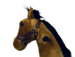 MY PONY, rijdend speelgoed paard van ROLLZONE ®, 3 - 6 jaar (MP2007-S) - Afbeelding 5