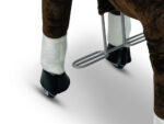 MY PONY, rijdend speelgoed paard van ROLLZONE ®, 8+ (MP2009-L) - Afbeelding 5