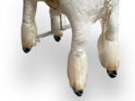 MY PONY, rijdend speelgoed unicorn van ROLLZONE ®, 4 - 10 jaar (MP2041-M) - Afbeelding 6
