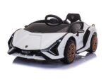 Lamborghini Sian, 12v elektrische kinderauto met vleugeldeuren