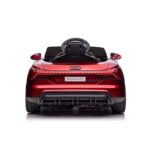 Audi RS e-tron GT, 12 volt elektrische kinder voertuig met muziek module en meer! - Afbeelding 5