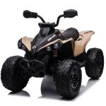 Can-Am Renegade 4X4, 24V Quad, Leder Zitje, Rubberen Banden