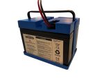 Peg Perego 12 Volt 12Ah Lithium Accu