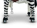 My Pony, Rijdend Speelgoed  Zebra Van Rollzone ® , 4 - 10 Jaar (Mp2001-M) - Afbeelding 5